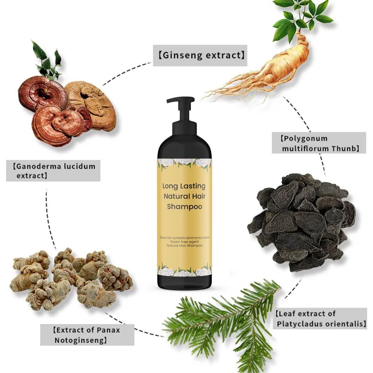 Japanese Hair Shampoo (Buy 1 Get 1 Free)